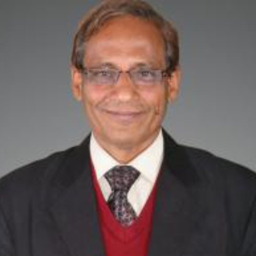 Portrait of Dr Prabhat Kumar Singh, FIE (I)