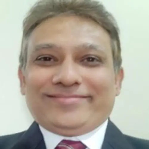 Portrait of Vivek L. Manekar